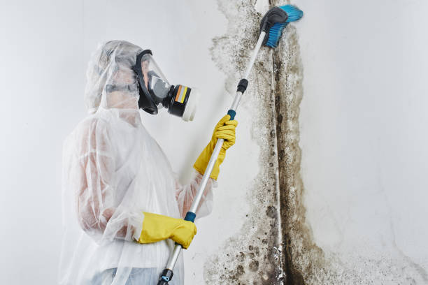 Best Water Damage Restoration  in Landover, MD