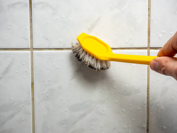 Mold Removal Process in Landover, MD