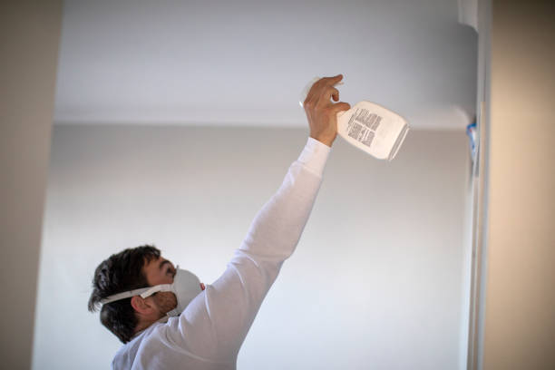Best Affordable Mold Removal  in Landover, MD