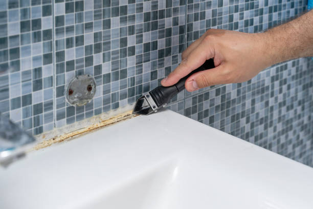 Best Certified Mold Removal  in Landover, MD