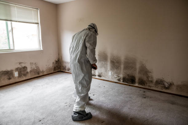 Best Mold Testing  in Landover, MD