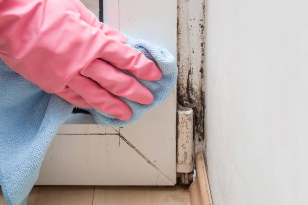 Best Residential Mold Removal  in Landover, MD